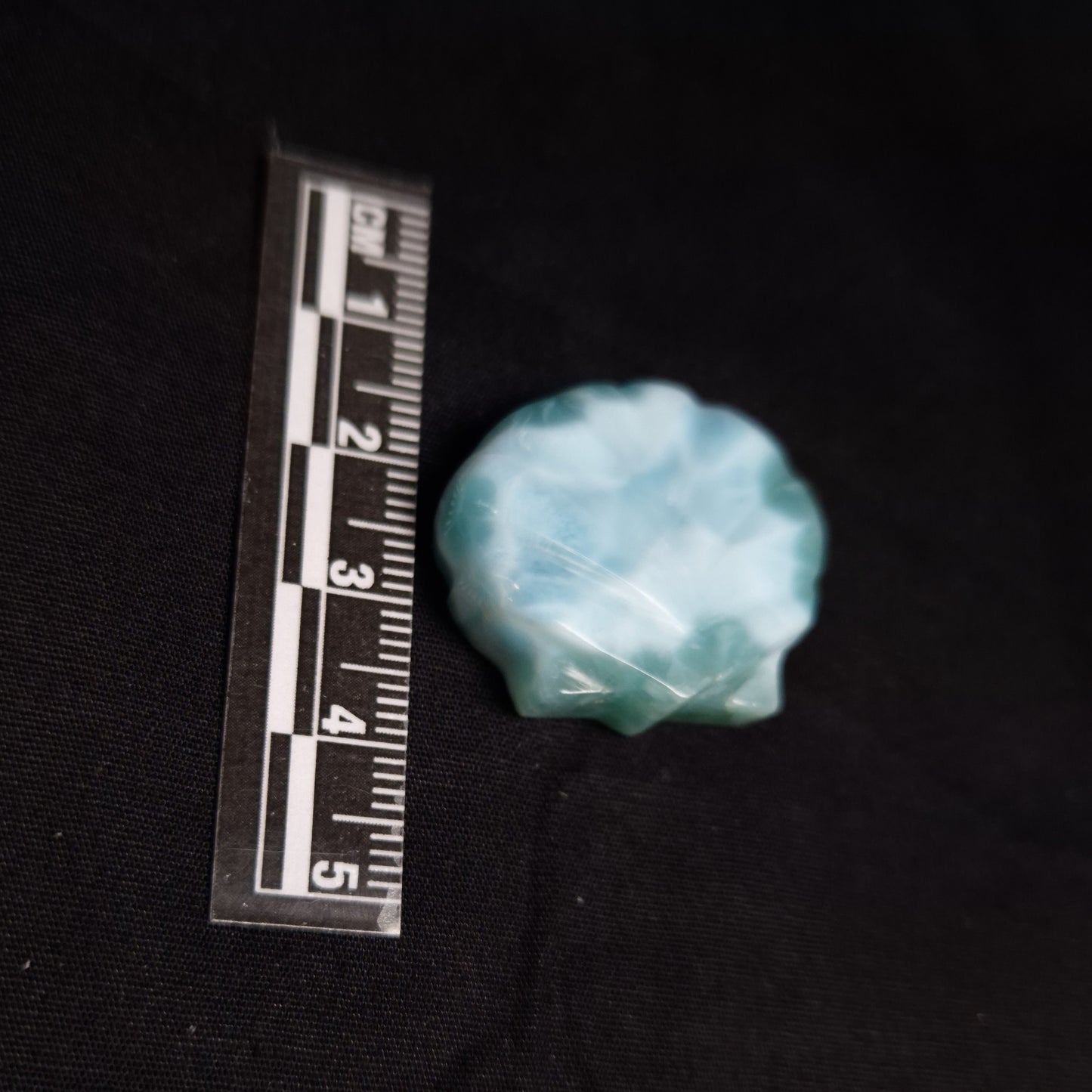 Larimar Shell Cabochon