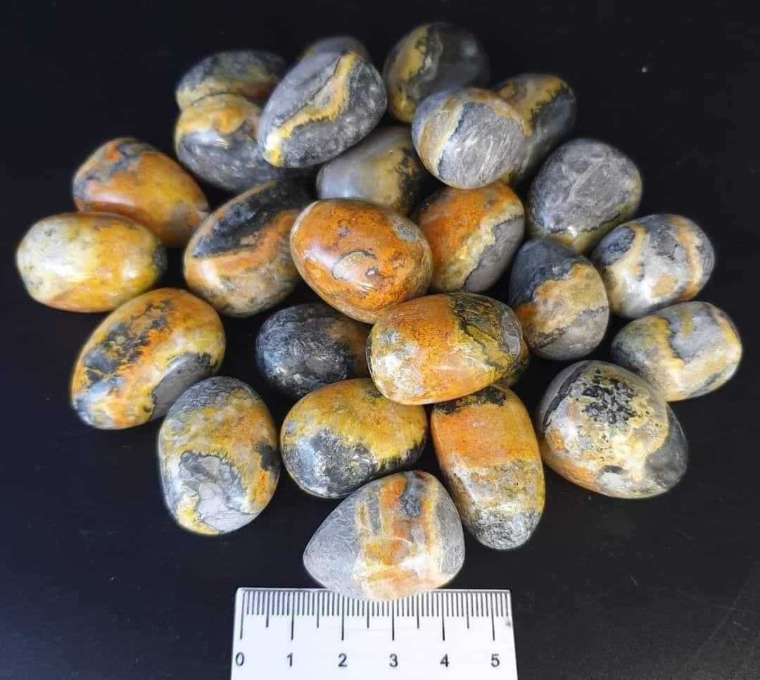 BUMBLEBEE JASPER TUMBLES/EGGS