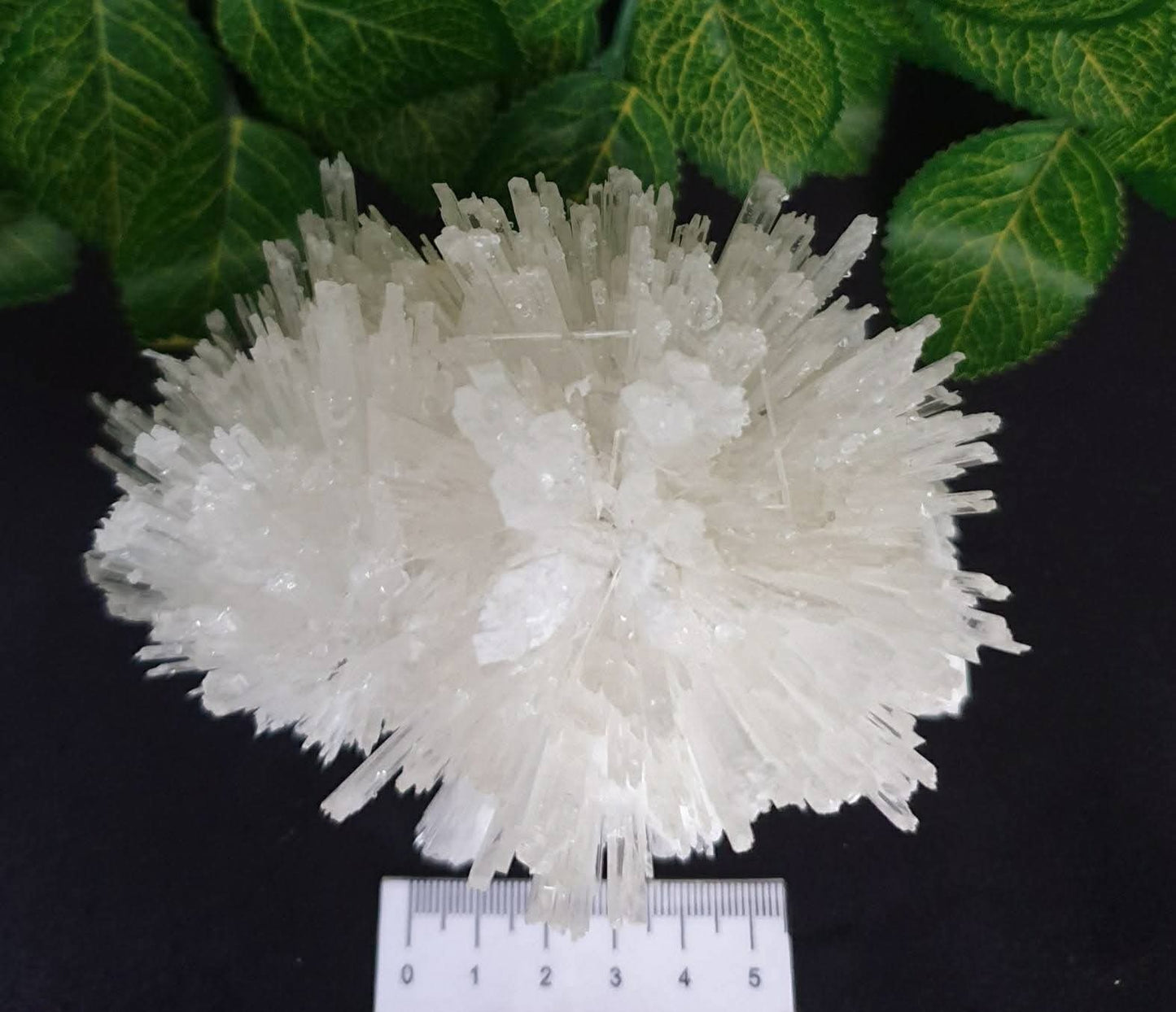 SCOLECITE CLUSTER