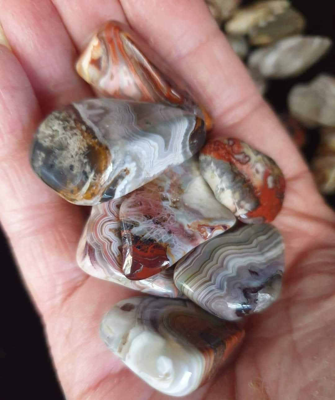 CRAZY LACE AGATE TUMBLES