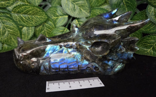 LABRADORITE DRAGON SKULL