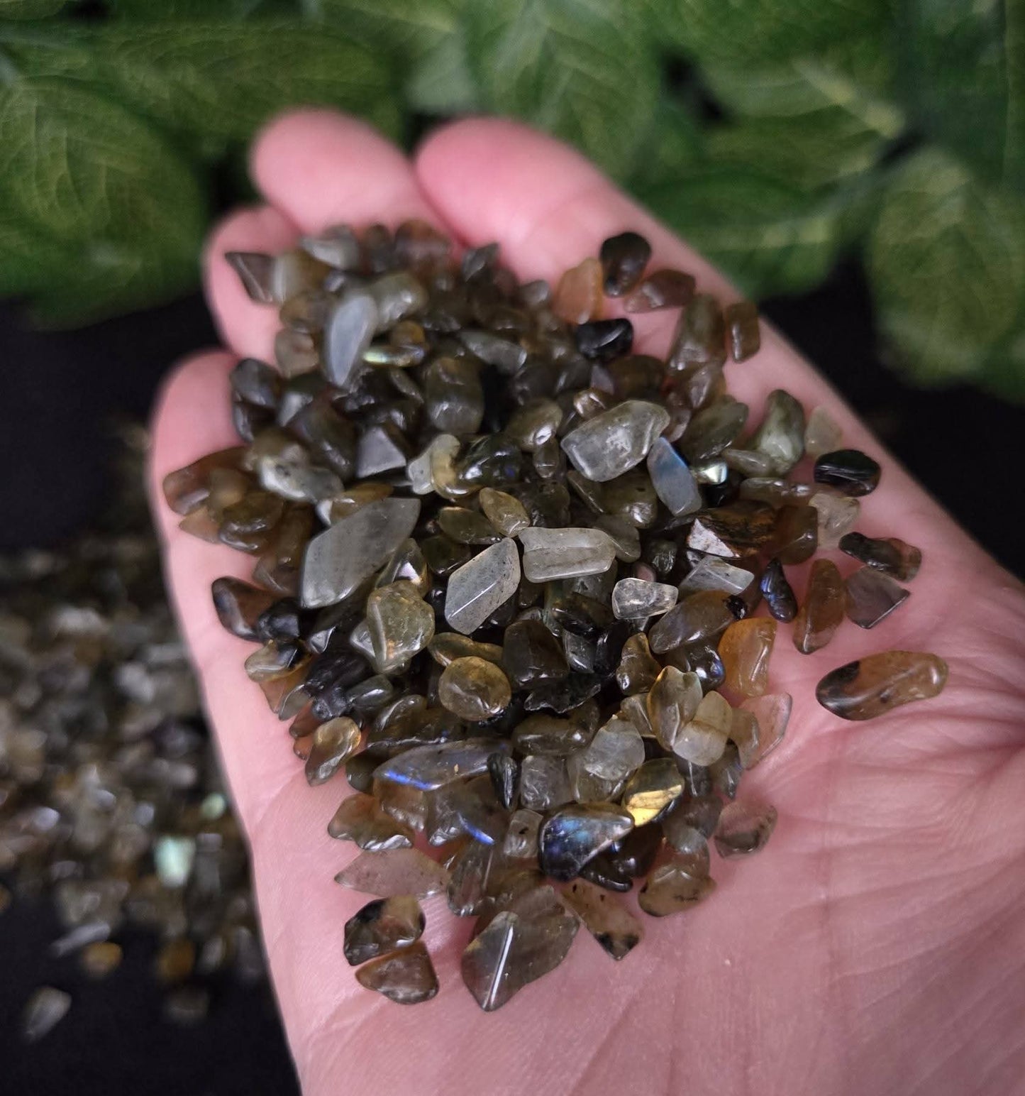 LABRADORITE CHIPS