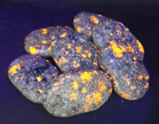 YOOPERLITE PALMSTONES