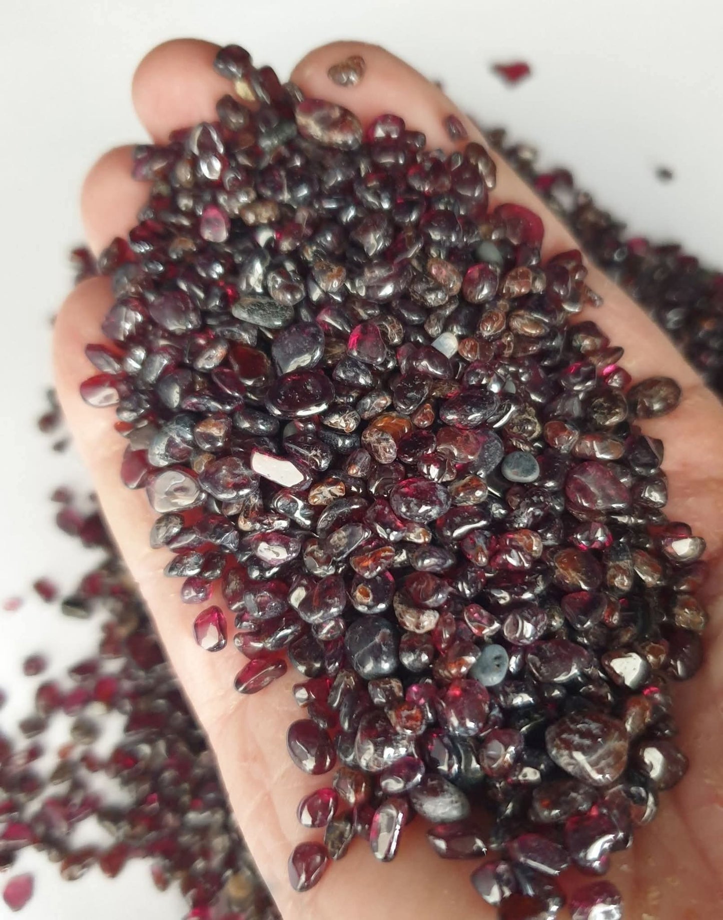 GARNET CHIPS