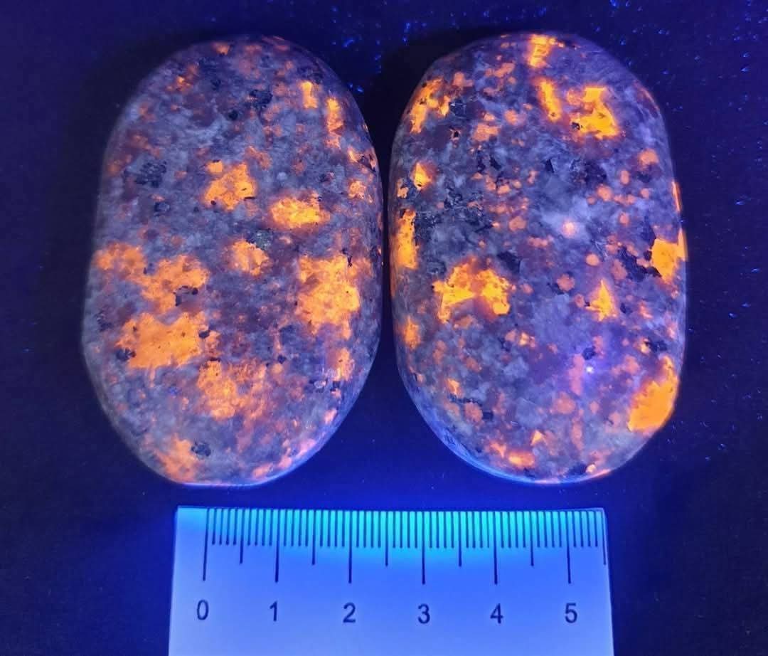 YOOPERLITE PALMSTONES