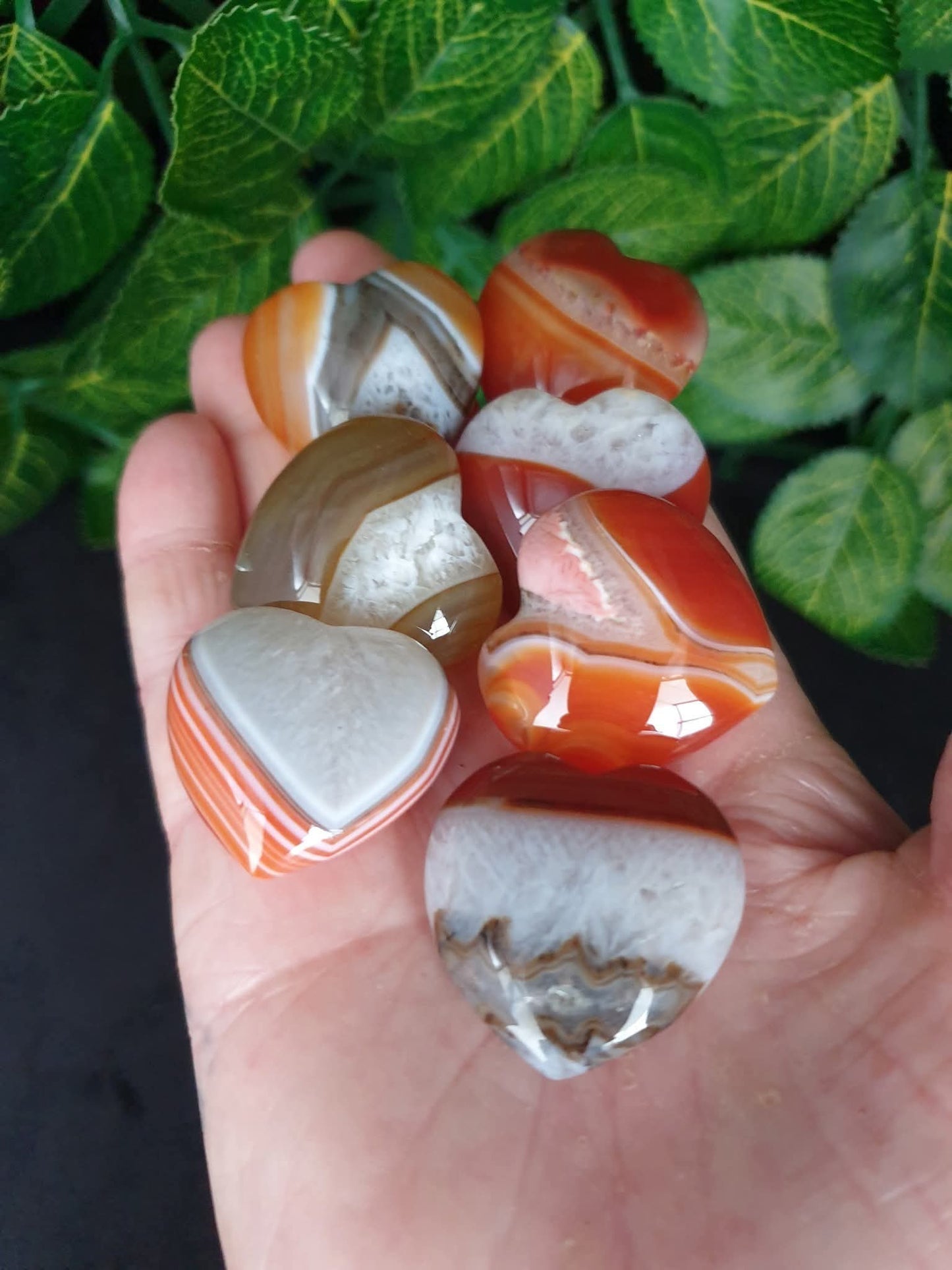 CARNELIAN HEARTS