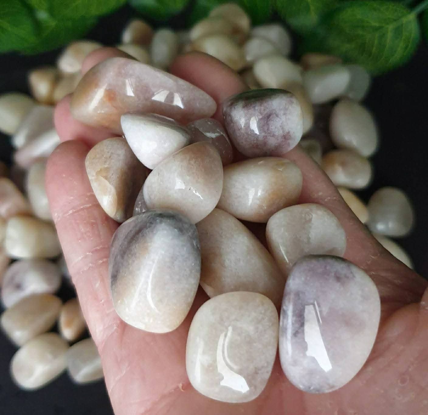 COQUINA JASPER TUMBLES