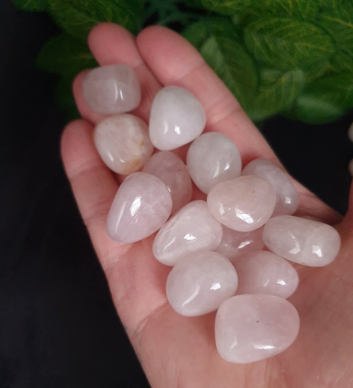 ROSE QUARTZ TUMBLES