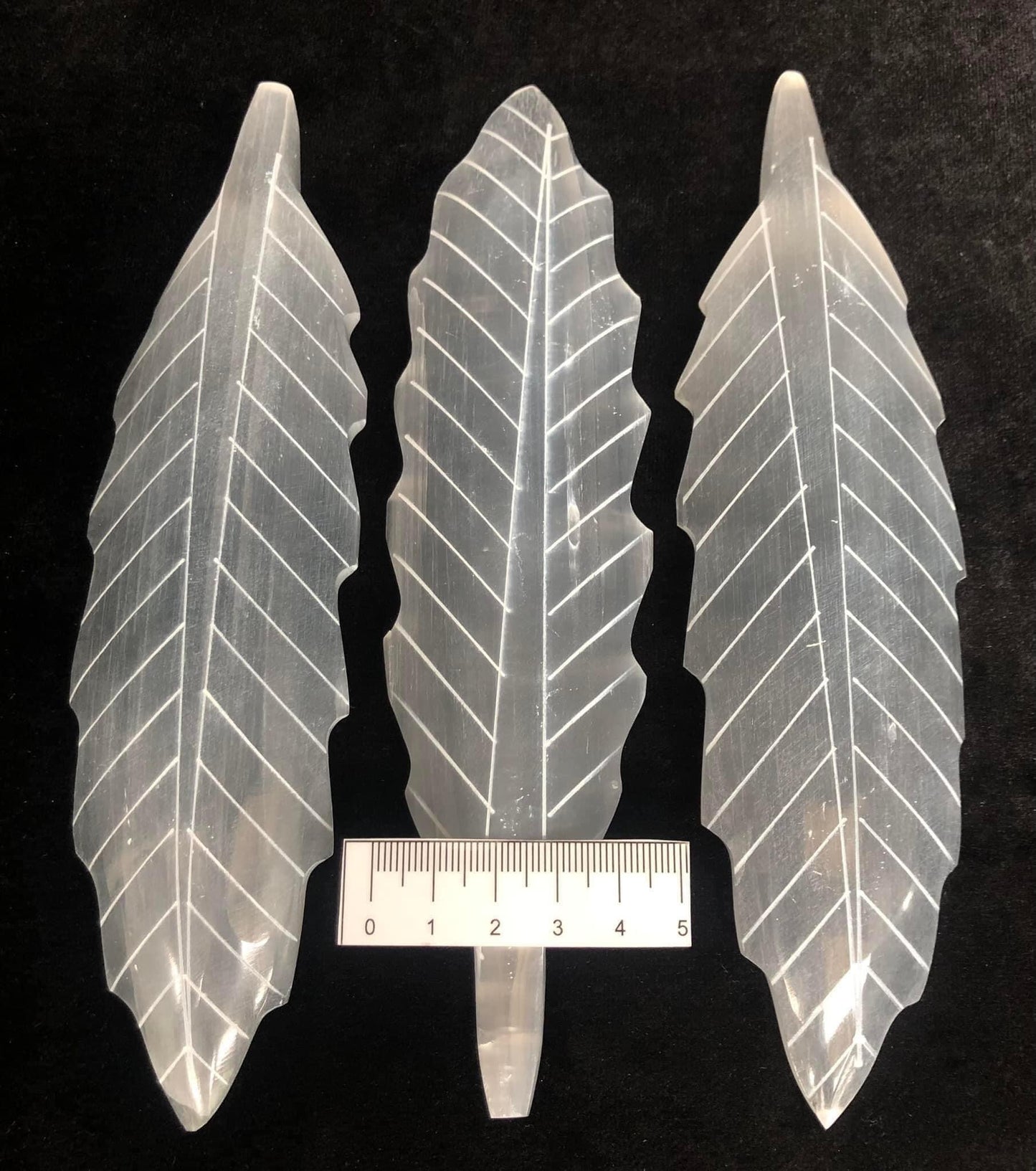 SELENITE LEAF
