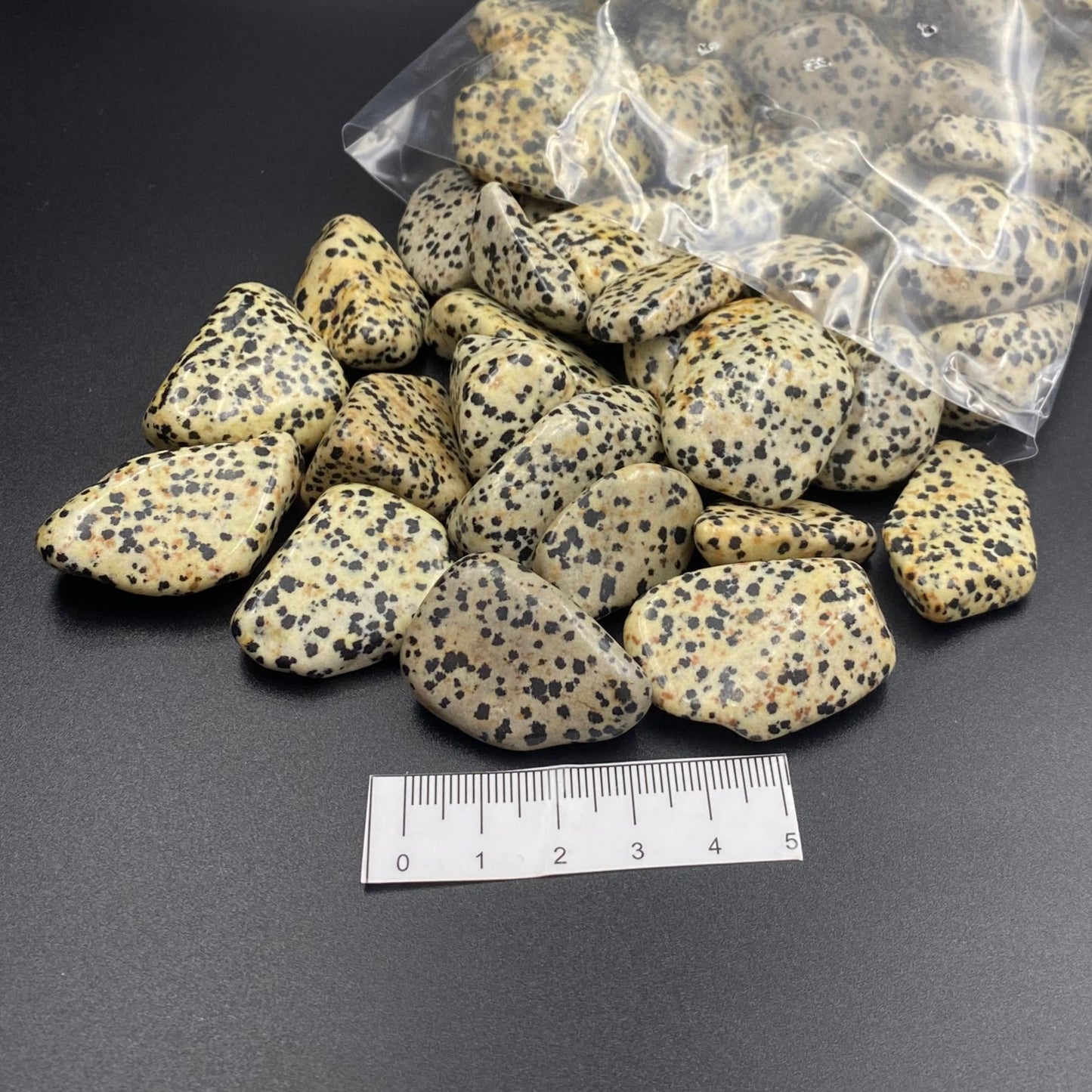 Dalmatian Jasper Polished Tumbles