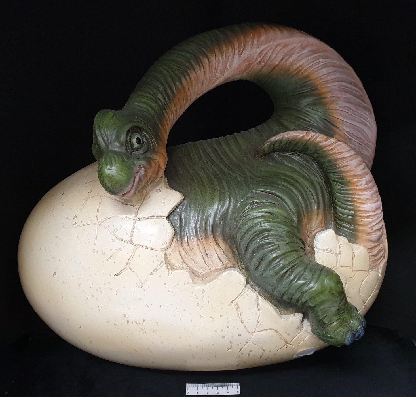 Baby Brachiosauras Display Piece