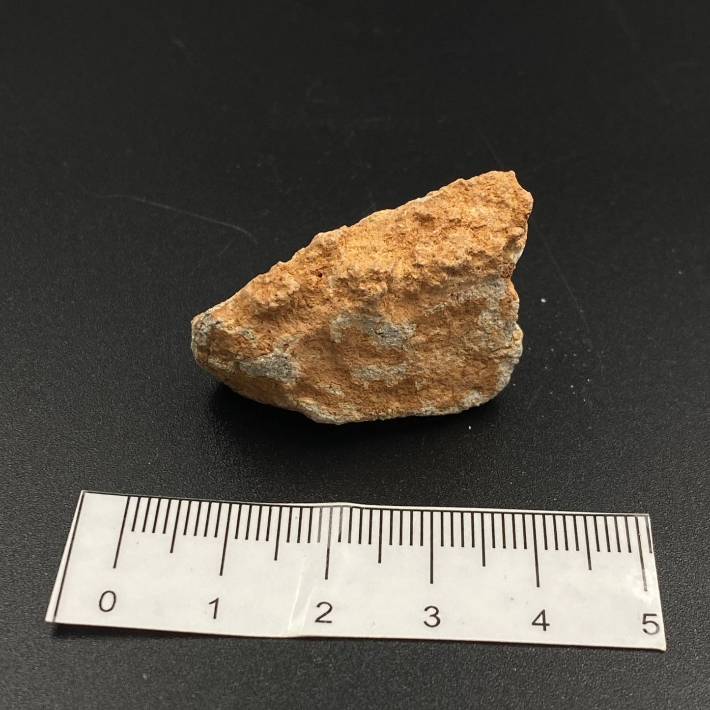 Lunar Meteorite