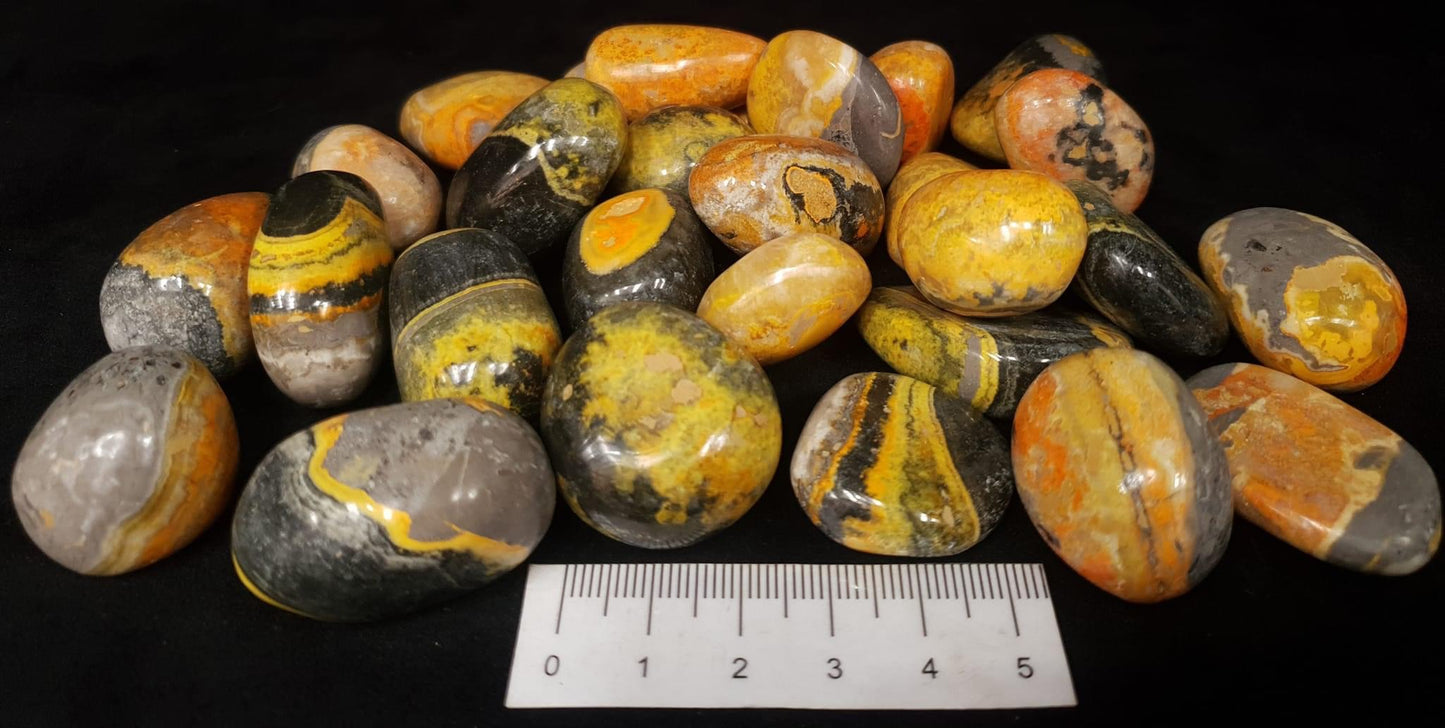 Bumblebee Jasper Tumbles