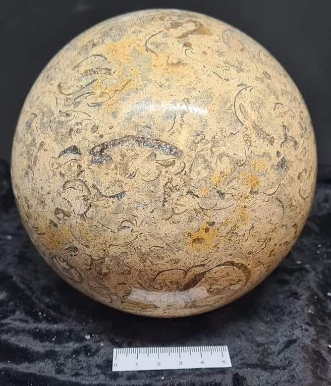 Fossil Coral Sphere