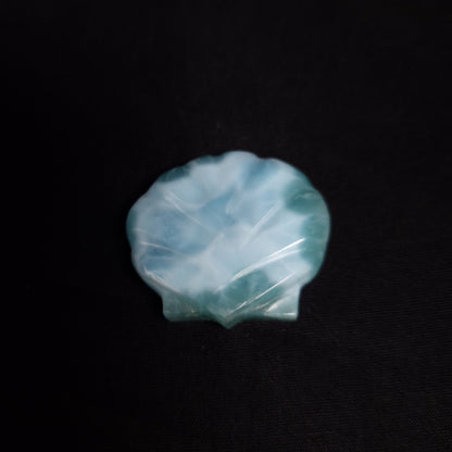 Larimar Shell Cabochon