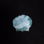 Larimar Shell Cabochon