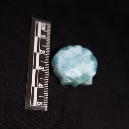 Larimar Shell Cabochon