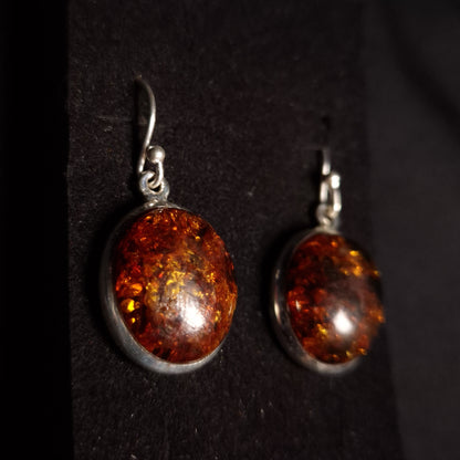 Amber Earrings