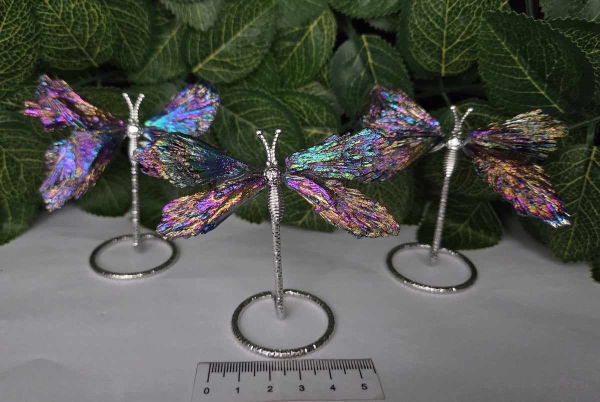 TITANIUM AURA KYANITE BUTTERFLY ON METAL STAND