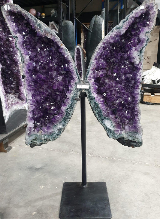 Amethyst Wings