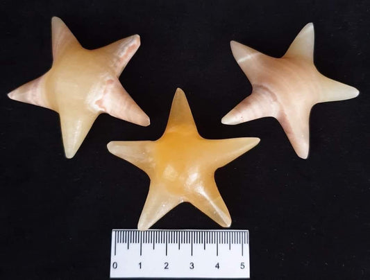 Aragonite Starfish