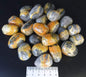 BUMBLEBEE JASPER TUMBLES/EGGS