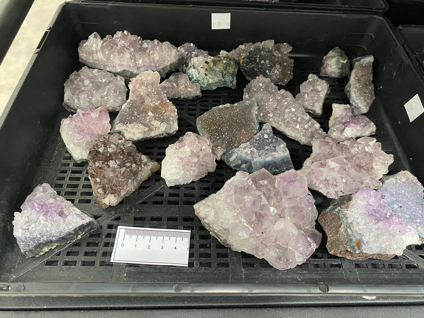 Amethyst Cluster Tray Bulk Buy