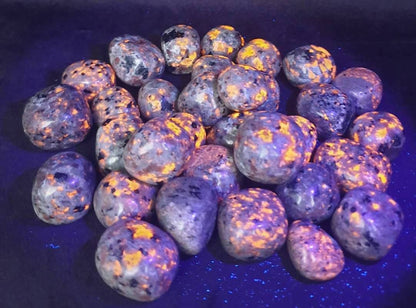 YOOPERLITE TUMBLES