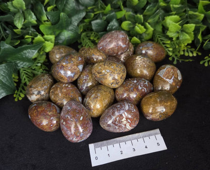 STROMATOLITE EGGS - 500g