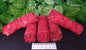 DRAGONS BLOOD SMUDGE STICKS