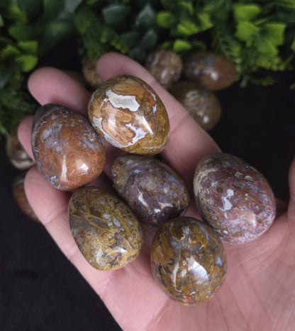STROMATOLITE EGGS - 500g