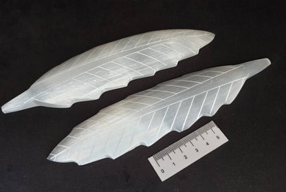 SELENITE LEAF