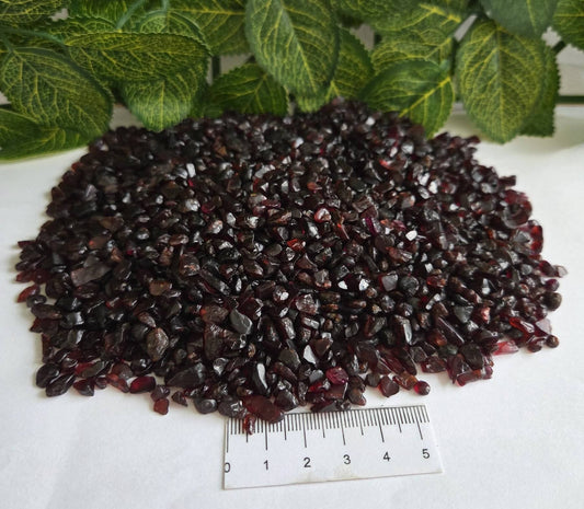 GARNET CHIPS
