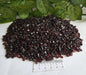 GARNET CHIPS