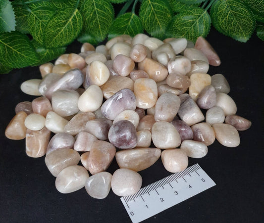 COQUINA JASPER TUMBLES