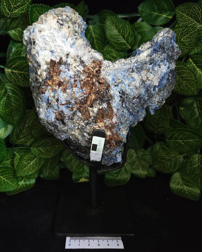 BLUE KYANITE ON METAL STAND