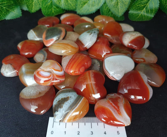 CARNELIAN HEARTS