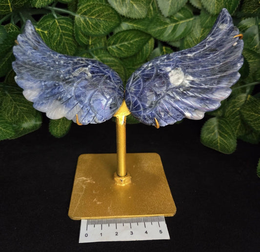 SODALITE ANGEL WINGS ON METAL STAND