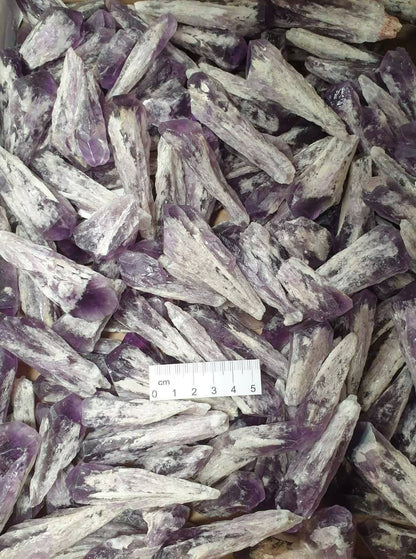 DOG TOOTH AMETHYST 500G
