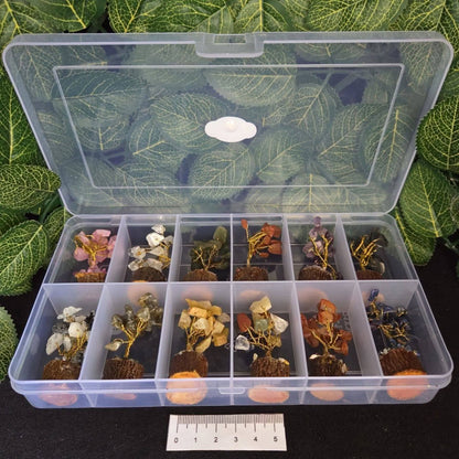 ASSORTED MINI 13PC GEM TREE BOX