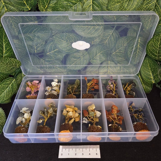 ASSORTED MINI 13PC GEM TREE BOX