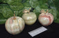 GREEN ONYX APPLES 5CMS