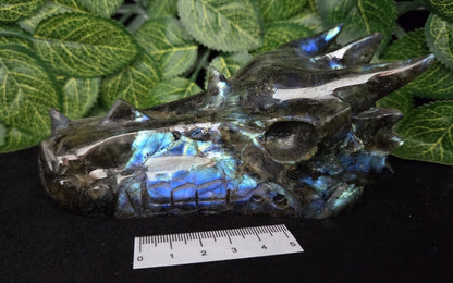 LABRADORITE DRAGON SKULL