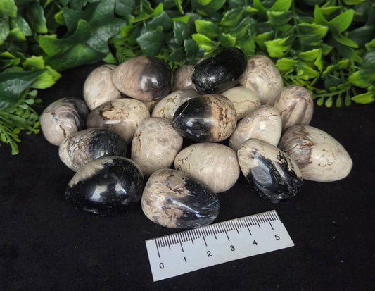 PALM ROOT EGGS - 500g