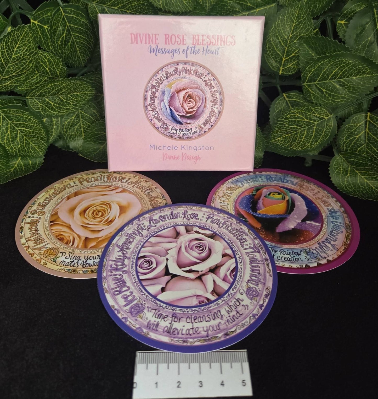 CLEANSE PACK 7