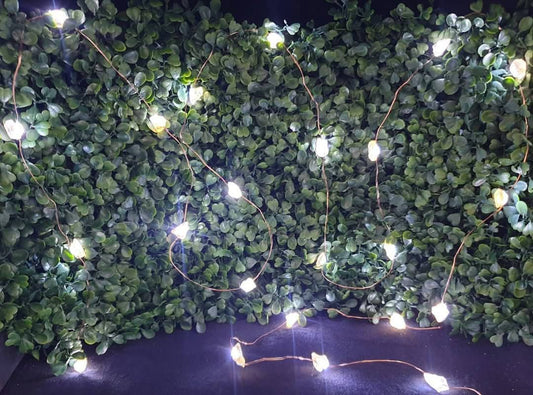 CITRINE FAIRY LIGHTS