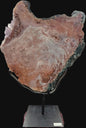 PINK AMETHYST ON METAL STAND