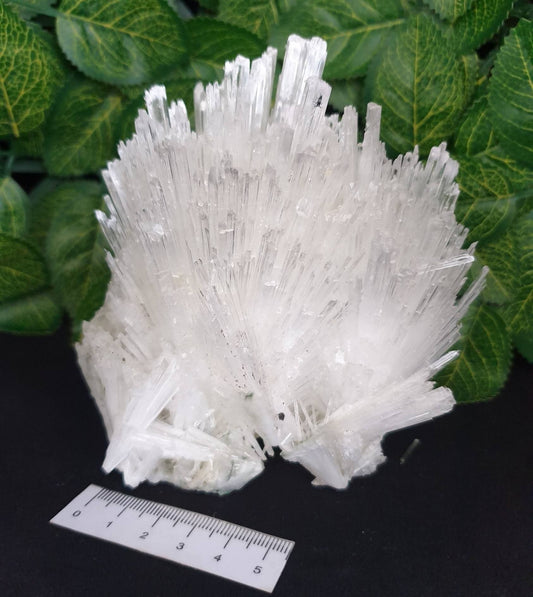 SCOLECITE CLUSTER