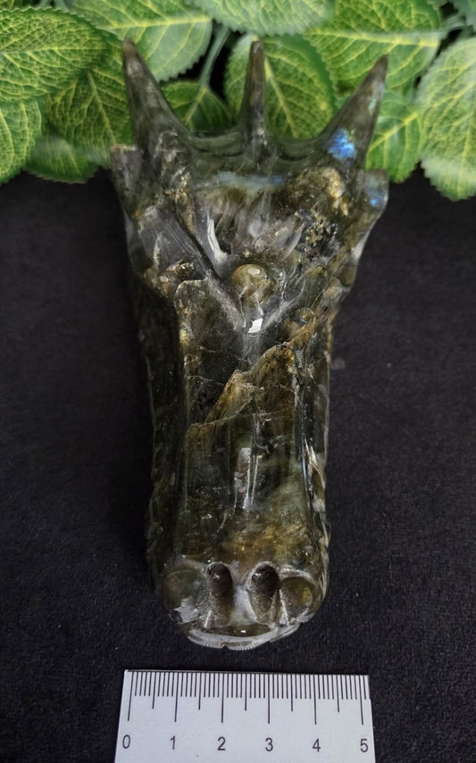 LABRADORITE DRAGON SKULL