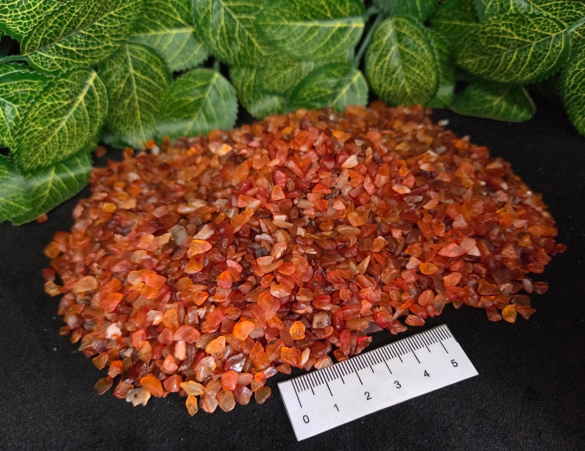 CARNELIAN CHIPS
